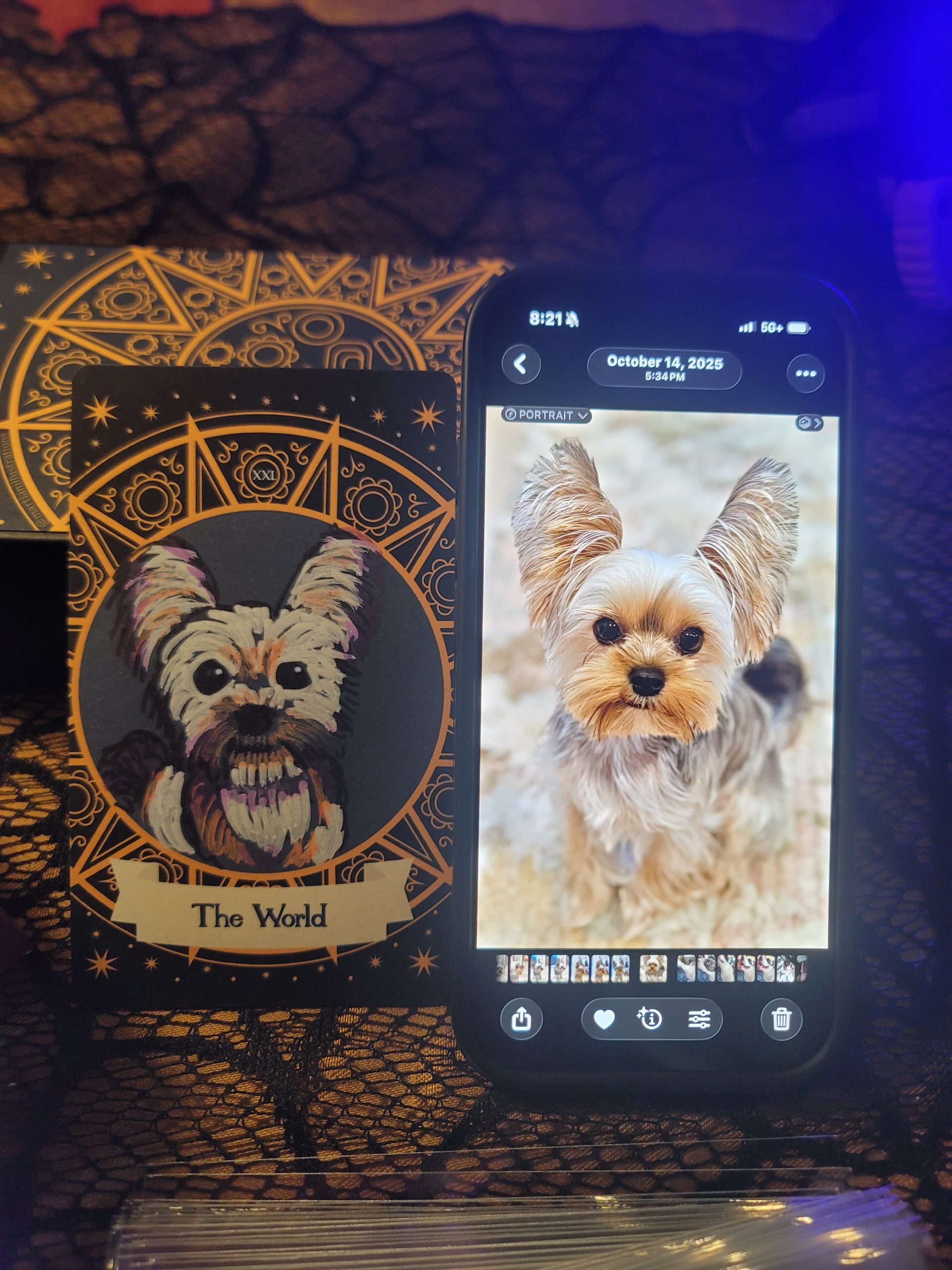 Muertos Custom Tarot Portrait Single Character - Image 2